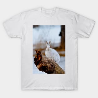 Snow Shoe Hare On Log T-Shirt